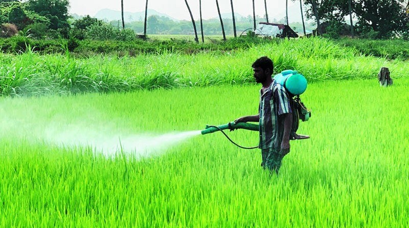 Chemical free agricultural production boosted