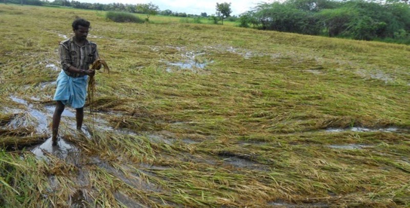 Loss of farmers