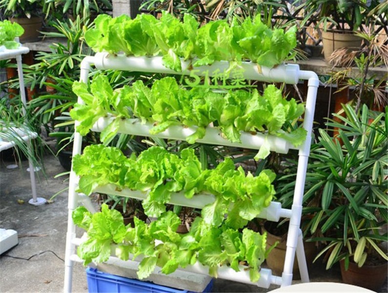 Hydroponics system