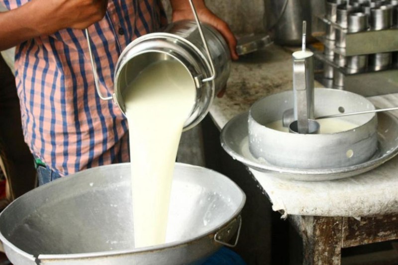 Dairy farming