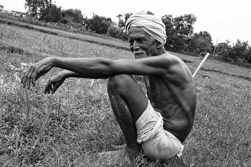 Tips for farmers