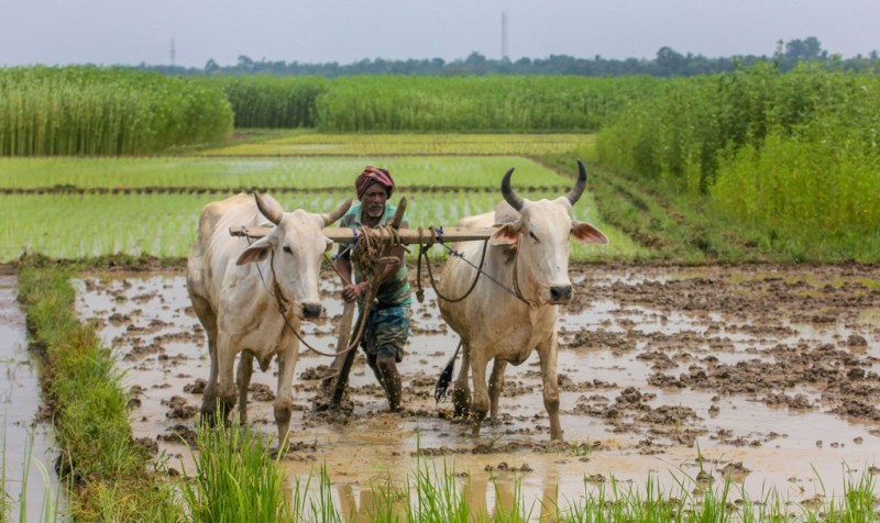 Kisan Panjikaran