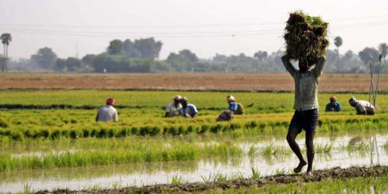 Pradhan Mantri Fasal Bima Yojana
