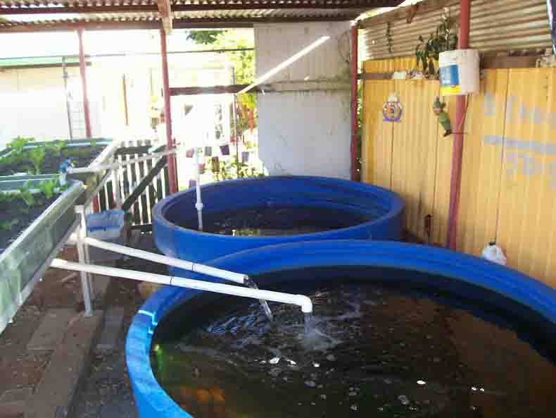 fisheries