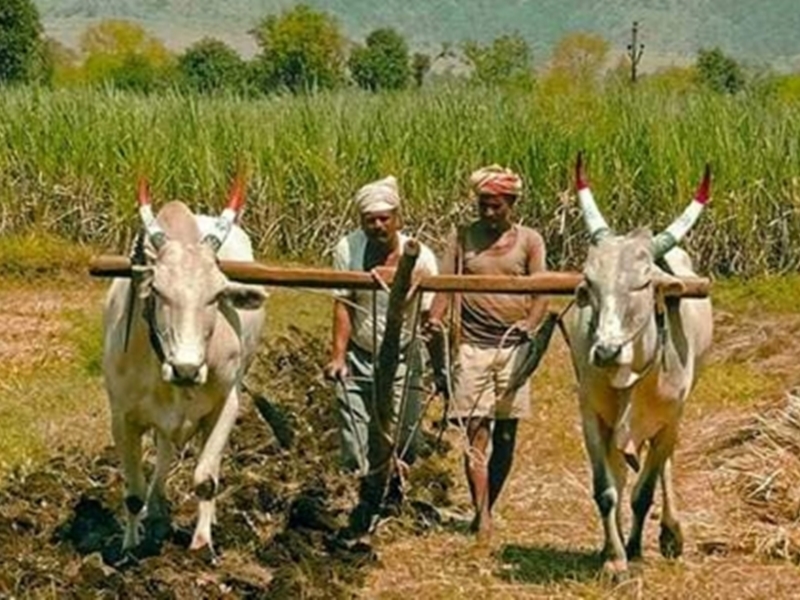 Kisan pension yojana