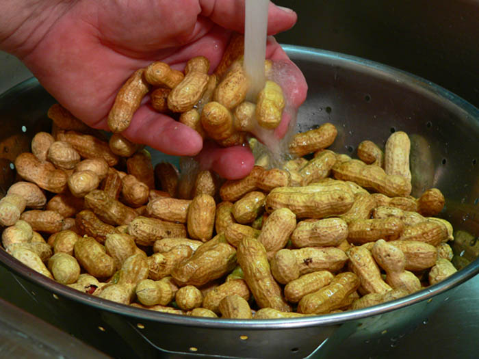Peanuts