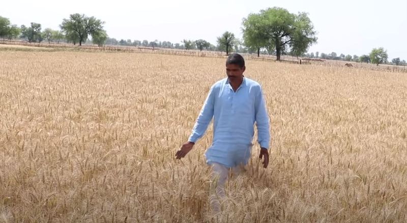 Farmers Haryana