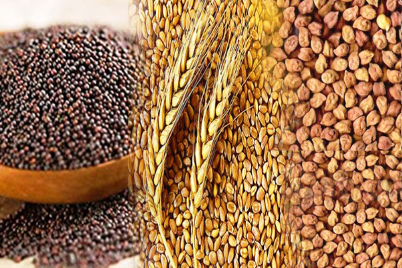 WHEAT AND RATION CARD