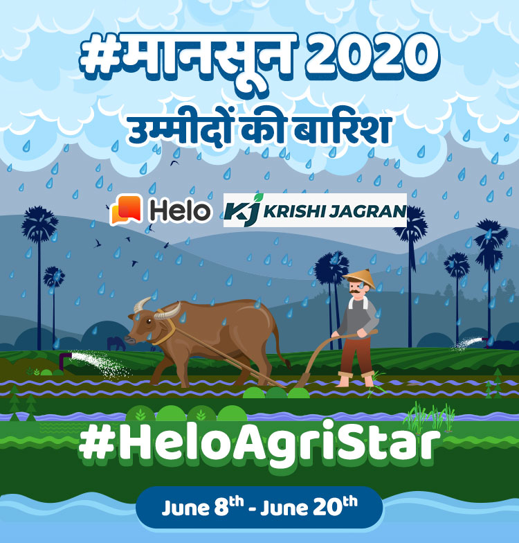 Monsoon 2020 Update