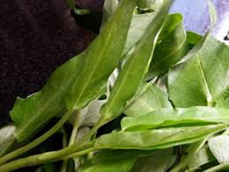 kamli ka saag