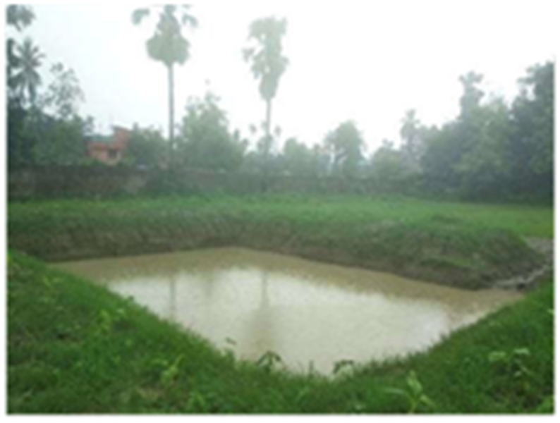 Pond Based Jute Cultivation