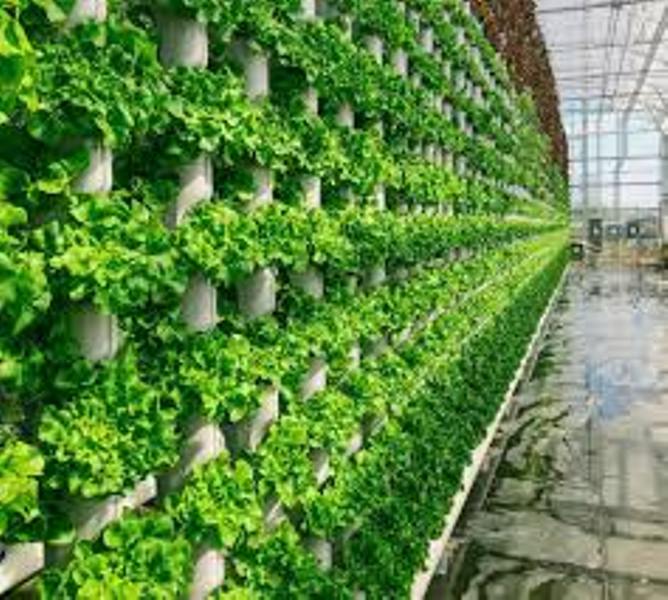 vertical farming