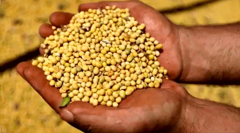 dal