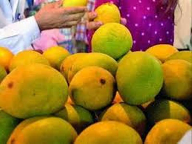Mango