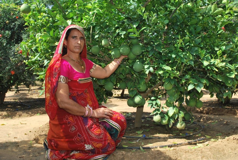 farmer