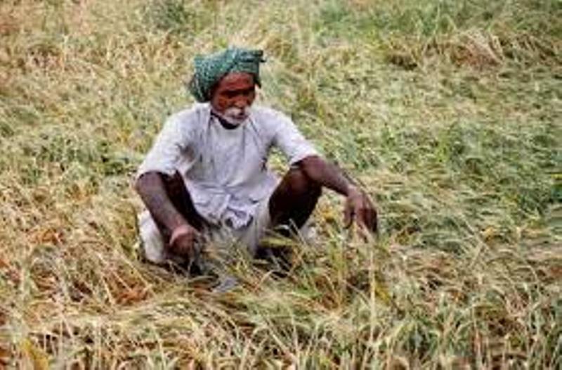 PM Kisan Yojana
