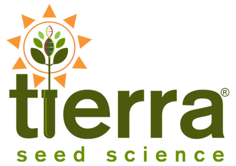 Tierra