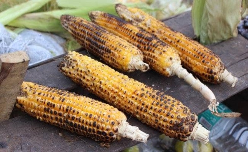bhutta