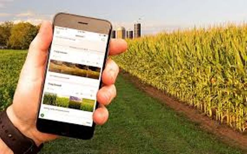 Agriculture Mobile App: ये 5 मोबाइल ऐप कृषि से जुड़े किसानों के लिए बने ...