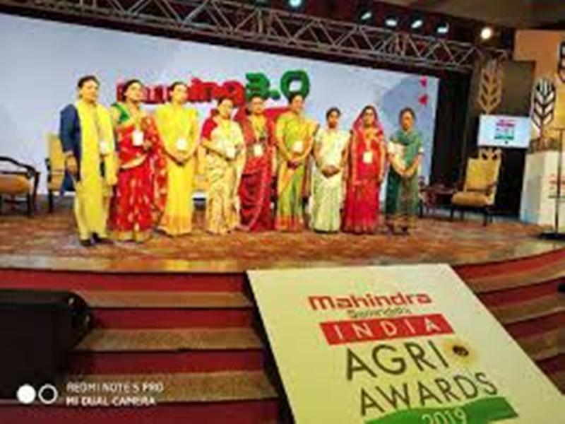 anima award