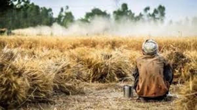 kisan