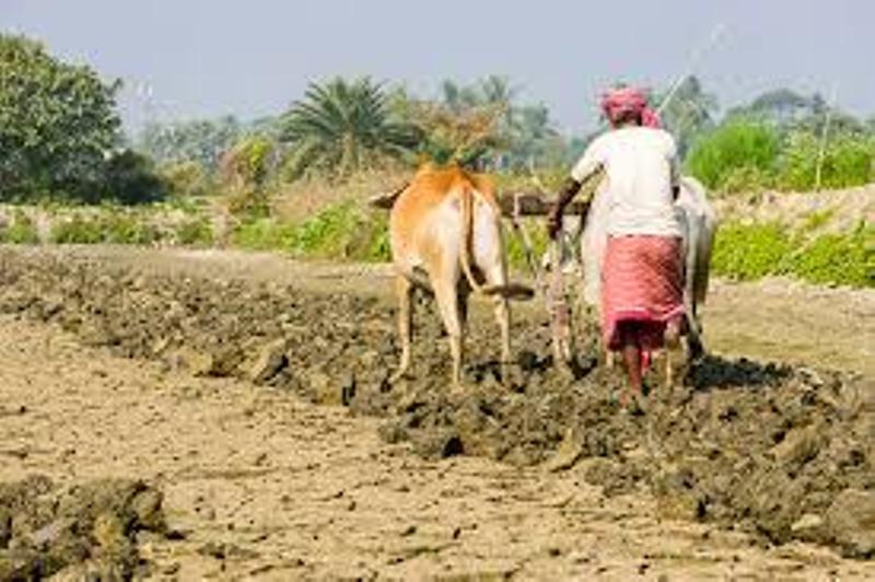 PM Kisan Scheme