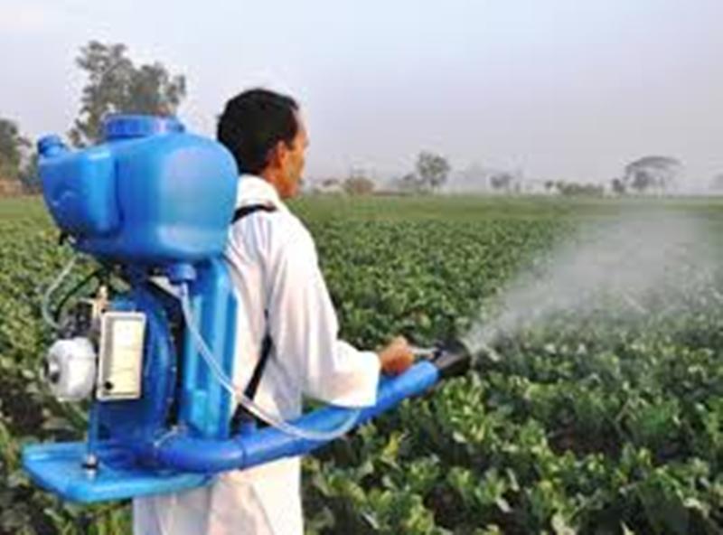 farmer