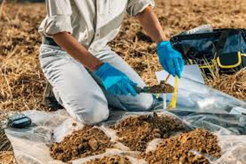 soil