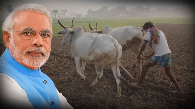 kisan