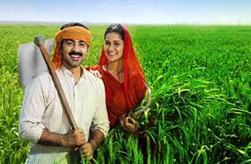 kisan