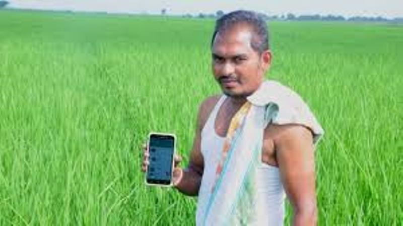 kisan