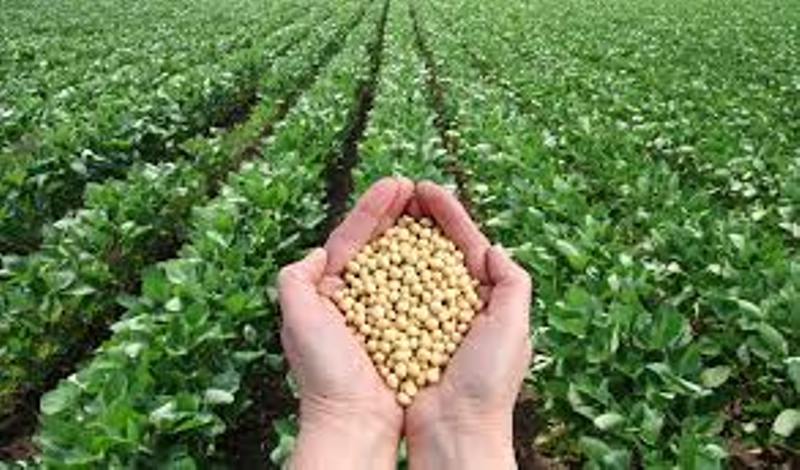Agriculture