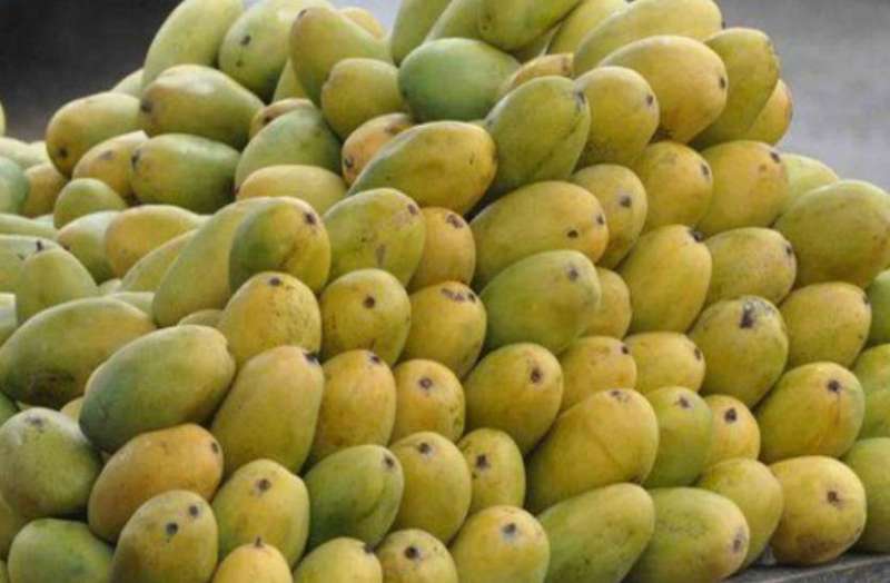 aam