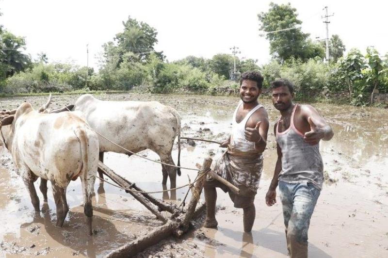 farmer