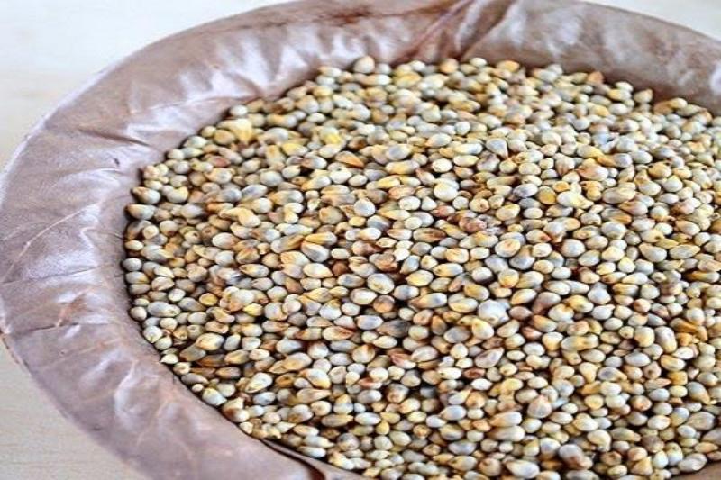 dal