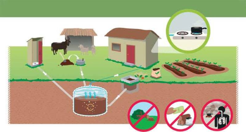 Biogas