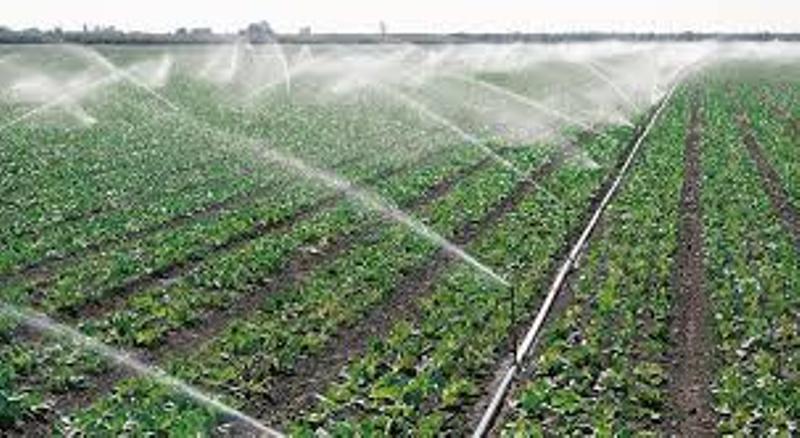 agriculture