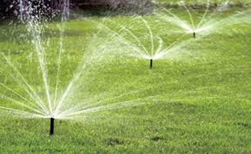 irrigation