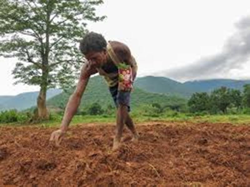 Kharif