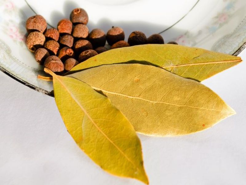 bay leaf