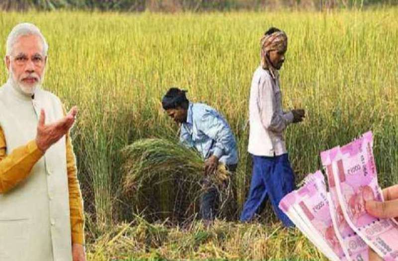 agriculture