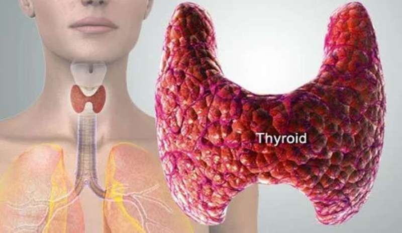 Thyroid symptoms