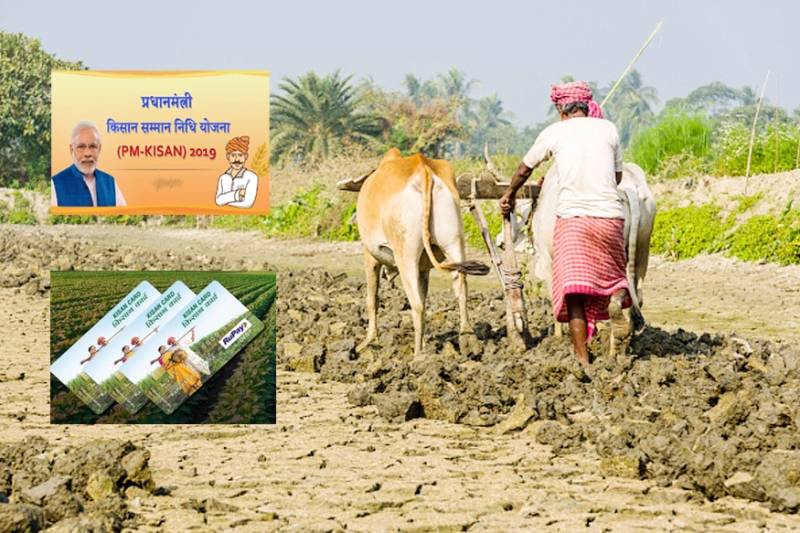 kisan