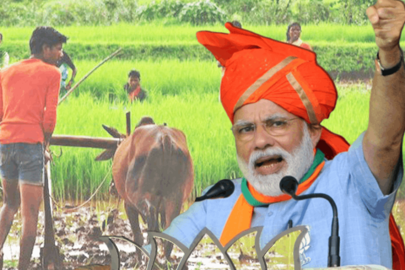 Pm Kisan
