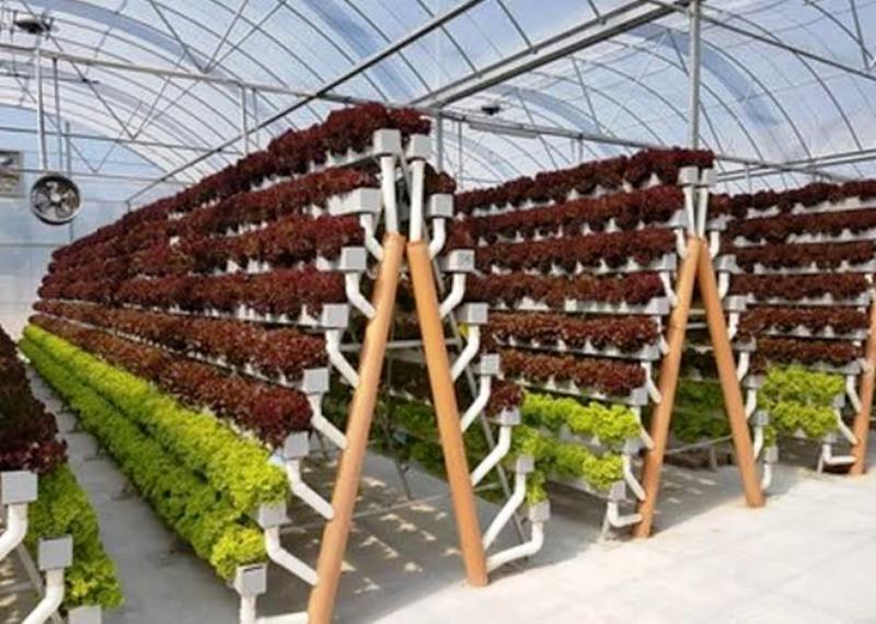 Hydroponic Retail Store