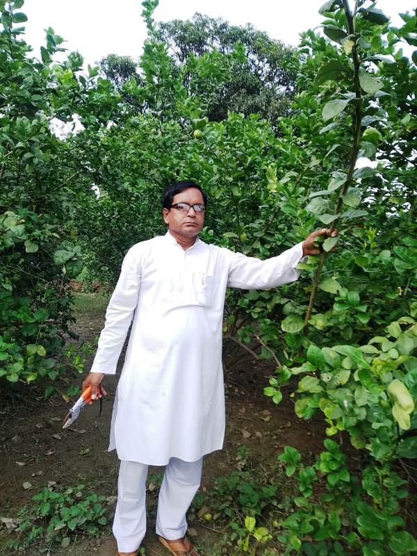 Anand Mishar lemon Man