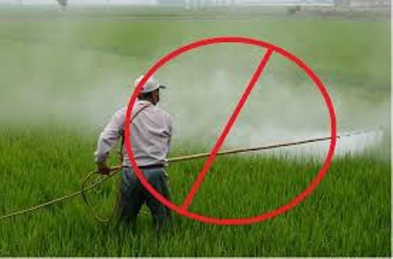 pesticide