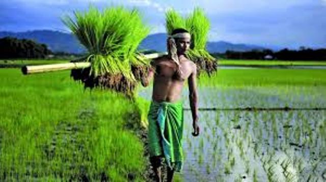 kisan
