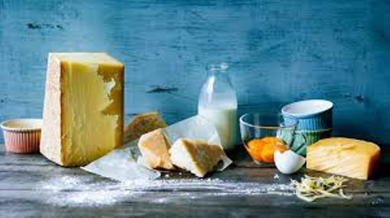 Dairy business