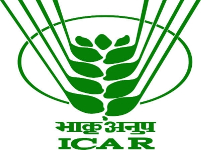 ICAR